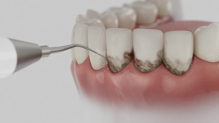 Reliable Dental contractor in Bonneauville, PA by Dentist Open Now
